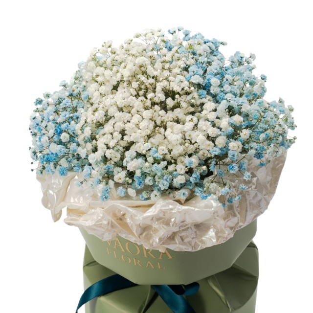 雙色浪漫-薄荷蘇打