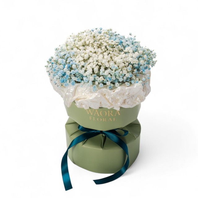 雙色浪漫-薄荷蘇打