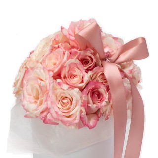 Daily - 愛麗絲心語