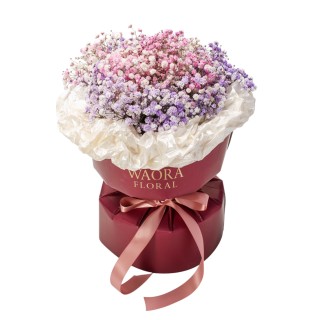 雙色浪漫-濃情滿滿