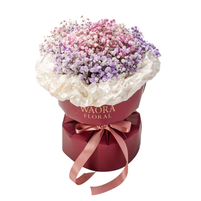 雙色浪漫-濃情滿滿