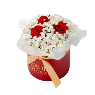 Petite - 熱情告白（紅）