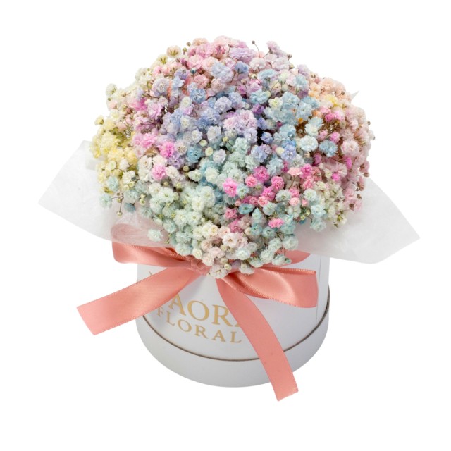 Petite - 夢幻療癒（白）