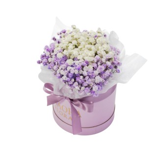 Petite - 浪漫文青（紫）