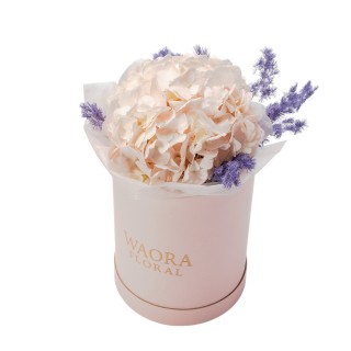 Daily - 柔光詩語