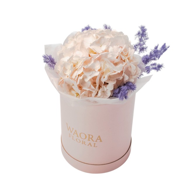 Daily - 柔光詩語