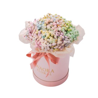 Daily - 幻彩心願