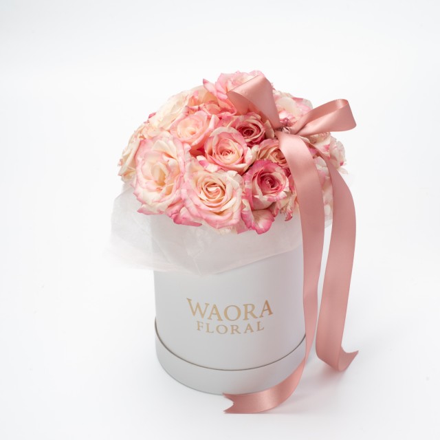 Daily - 愛麗絲心語