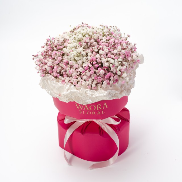 雙色浪漫-莓好心願