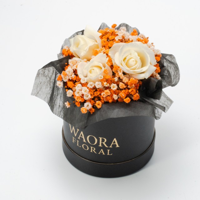 Midnight Spell - 午夜花咒