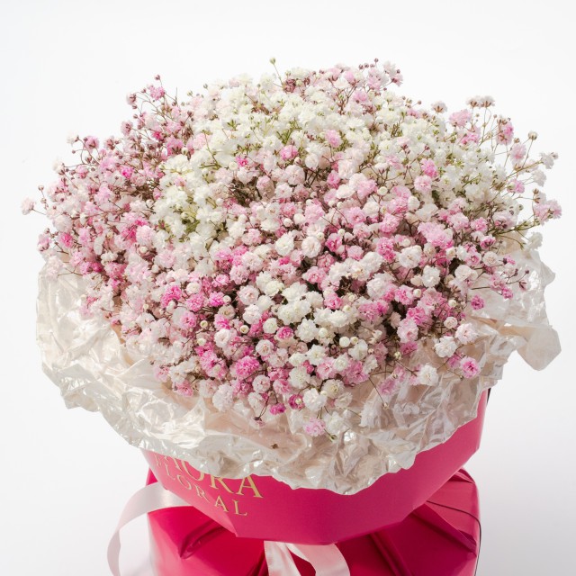 雙色浪漫-莓好心願