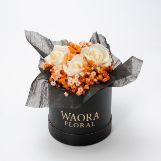 Midnight Spell - 午夜花咒