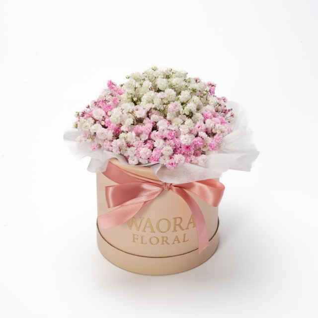 Petite - 甜美少女（粉）