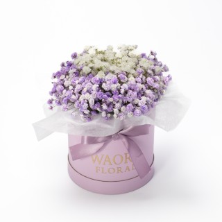 Petite - 浪漫文青（紫）