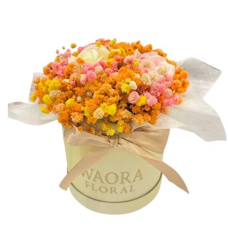 Petite - 蜂蜜維尼（黃）