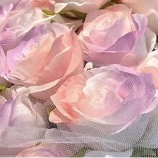 雙色浪漫-濃情滿滿