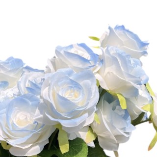 雙色浪漫-薄荷蘇打