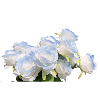 雙色浪漫-薄荷蘇打