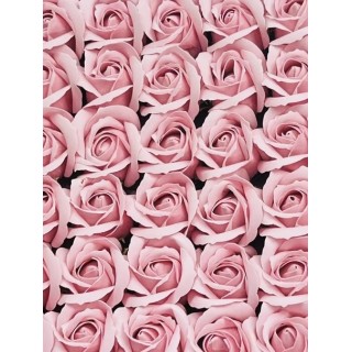 雙色浪漫-莓好心願