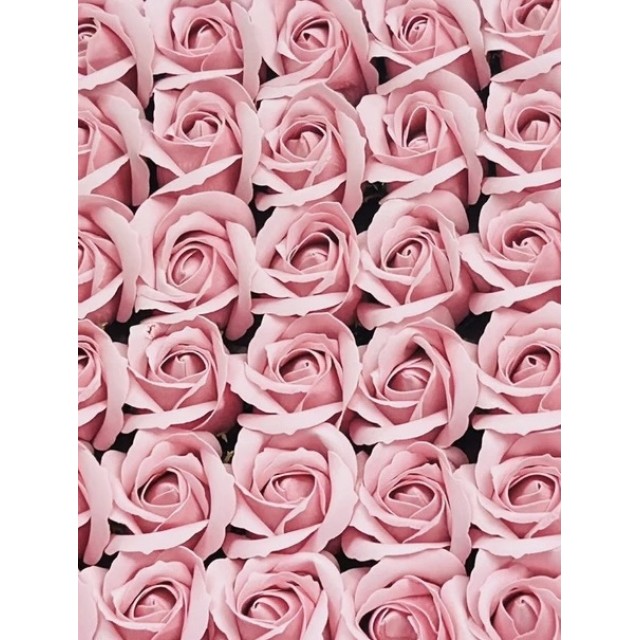 雙色浪漫-莓好心願