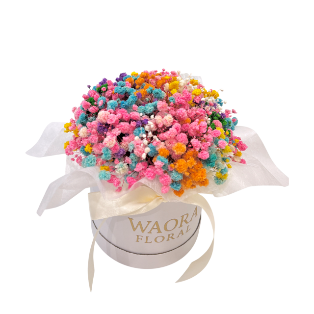 Petite - 永生款（白)