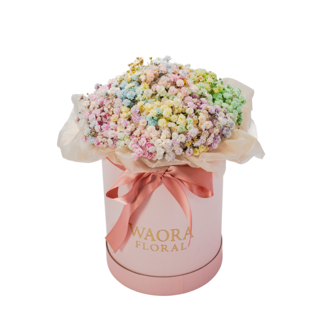 Daily - 幻彩心願